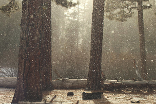 Snowfall near Butte Lake, California