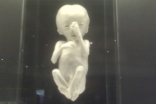 “Fetus Dolls” Are This Year’s New Christian Toy Trend