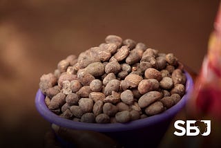 From Shea to City: Tracing the Roots of Tamale Through the Shea Tree