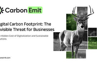 Digital Carbon Footprint: The Invisible Threat for Businesses