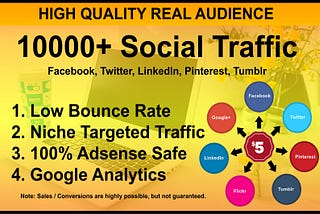 I will drive targeted web traffic from social media