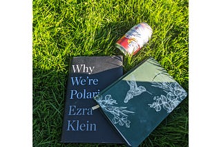 Review of ‘Why We’re Polarised’