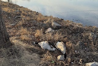 Public warned about possible avian flu locally