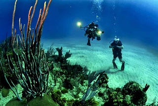 Underwater Sea Walk in Andaman: Explore the Mysterious World of Sea Life