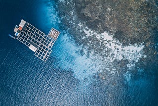 Aquaculture: Maximizing Benefits and Minimizing Trade-Offs for a Sustainable Future