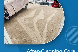 Carpet Care Guide — What to Do after Cleaning Your Carpet?