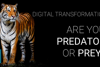 Digital Transformation: Are you Predator or Prey?