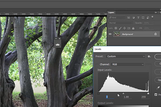 Photoshop Color Correction — How to color correct a photo