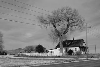 black and white photo of house with big tree beside it