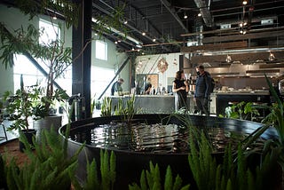 A few masked people surround a counter to order food. A big koi pond is in the forefront surrounded by tropical and desert plants