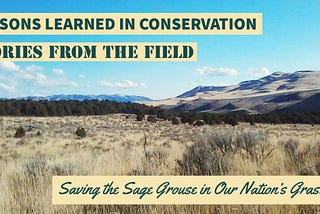 🌎 LESSONS LEARNED IN CONSERVATION: STORIES FROM THE FIELD- Saving the Sage Grouse In Our National…