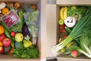 Help us Veggie Box, you’re our only hope…