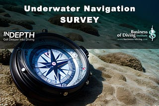 Survey Results: Underwater Navigation