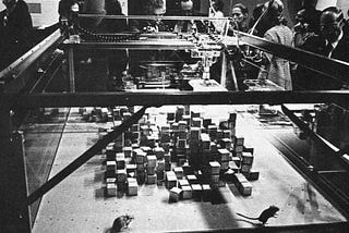 Photo of SEEK installation held at MIT in 1969 showing number of fabricated cubes that constantly reassembles by robotic arms. They are also some mouses moving in between those cubes.