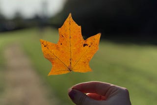 I love autumn