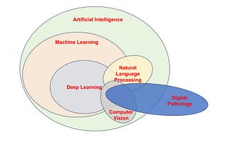 FDPNP2: Artificial Intelligence under the Microscope (Part 1)