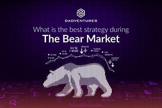 What is the Best Strategy during the Bear Market?