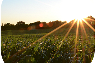 Porque “todos nós prosperamos ou padecemos com os agricultores” (Bernard Baruch)