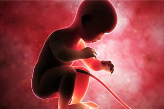 Before Being Born, Until the Day We Die, We Depend on Systems