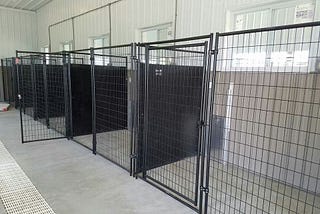 Looking for Top Dog Boarding Services in Auburn?