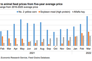 Changes to animal feed prices from five-year average price (2016–2020)