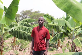 Using Crowdfunding to Address Funding Inequalities in Kenya’s Agribusiness sector