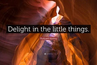 A Collection of Delight: The Little Things That Make Life Extraordinary