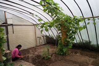 Raspberry pi controlled greenhouse — Circuit and code