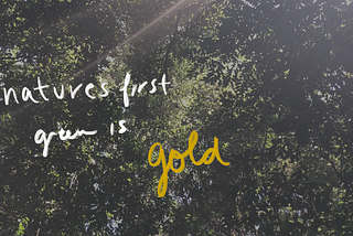Nothing Gold Can Stay …  or a therapist’s  reflections on grief