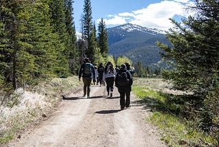 ELK: Lighting the Path Ahead