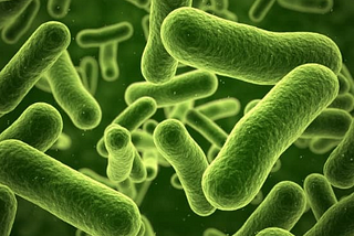 Understanding Foodborne Pathogens: Risks and Preventive Measures