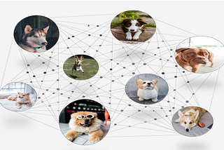 WOOFconnect: A platform for Dog Lovers