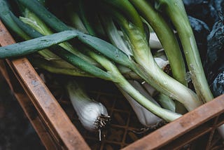 Leek, Allium ampeloprasum: A Flavorful and Nutritious Addition to Your Garden