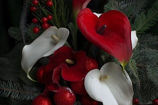 Gratitude unlocks the fullness of life.