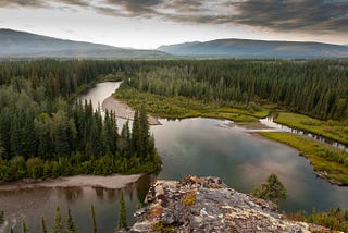 Tell Home Depot: Protect the boreal forest