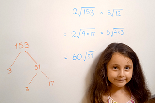 We teach algorithms in lieu of mathematics