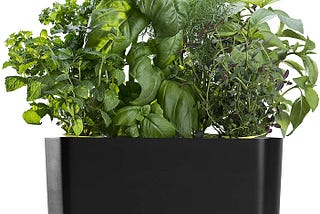 AeroGarden Black Harvest Indoor Hydroponic Garden