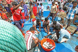 Fishing Families of Ratnagiri