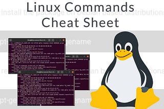 Basic File and Directory Operations in Linux