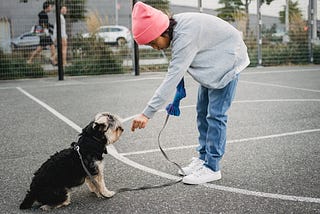 boy teaching sit to a dog