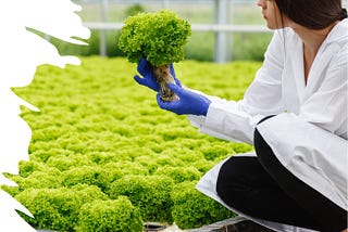 Hortikültür Nedir? Geleneksel Tarımdan Farkları Nelerdir? (Horticulture)