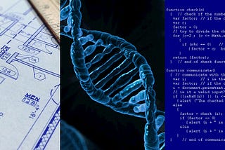 Is DNA Like a Blueprint, a Computer Program, or a List of Ingredients?