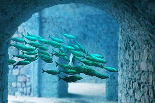 Why and How Thoughts Affect Matter