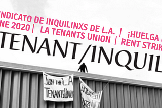 The Tenant, Issue #15 | Inquilinx edición 15