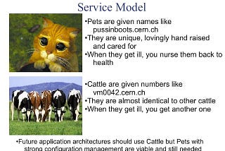 Have you heard the Tech Enterprise IT Joke About Pets vs Cattle?