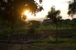 An open Journal: Documenting the Lives of Northern Ugandans