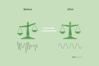 How Does CBD Work in the Body?
Exploring the Endocannabinoid System