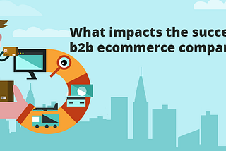 What impacts the success of B2B E-commerce companies