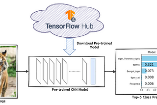 Supercharge Image Classification with Transfer Learning