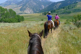 Three horses in a grassy field on a path in Montana with mountains in the background.